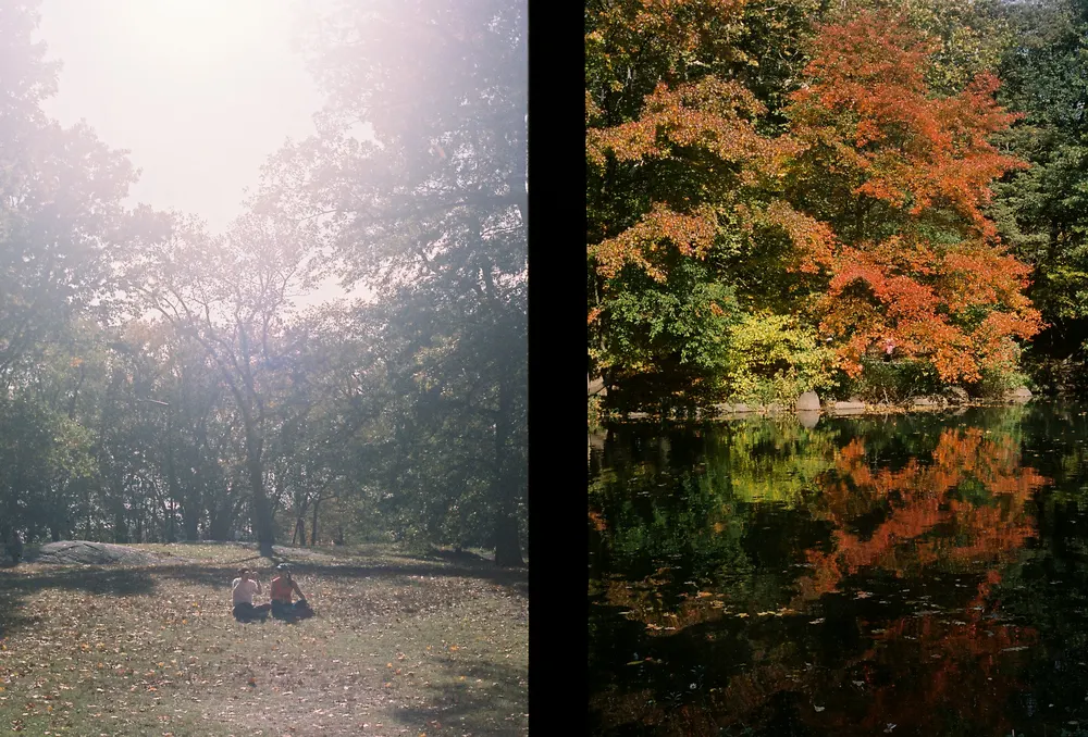 Film scan 6